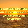 Фамилия Плехан: происхождение, история и склонение в одной статье — узнайте значение своей фамилии