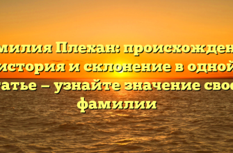 Фамилия Плехан: происхождение, история и склонение в одной статье — узнайте значение своей фамилии