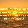 Фамилия Плигузов: история происхождения, значение и правильное склонение – все, что нужно знать!