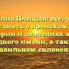 Фамилия Плицын: все, что вы хотели знать о происхождении, истории и значениях этого редкого имени, а также правильном склонении