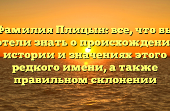 Фамилия Плицын: все, что вы хотели знать о происхождении, истории и значениях этого редкого имени, а также правильном склонении
