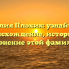 Фамилия Плохих: узнайте про происхождение, историю и склонение этой фамилии.
