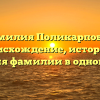 Фамилия Поликарповна: происхождение, история и значения фамилии в одной статье