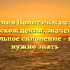 Фамилия Политика: история происхождения, значения и правильное склонение – все что нужно знать