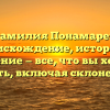 Фамилия Понамарев: происхождение, история и значение — все, что вы хотели знать, включая склонение