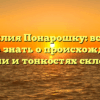 Фамилия Понарошку: все, что нужно знать о происхождении, истории и тонкостях склонения