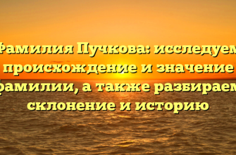Фамилия Пучкова: исследуем происхождение и значение фамилии, а также разбираем склонение и историю