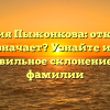 Фамилия Пыжонкова: откуда она и что означает? Узнайте историю и правильное склонение этой фамилии