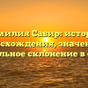 Фамилия Сабир: история происхождения, значение и правильное склонение в статье