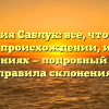 Фамилия Саблук: все, что нужно знать о происхождении, истории и значениях — подробный обзор и правила склонения