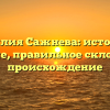 Фамилия Сажнева: история и значение, правильное склонение и происхождение
