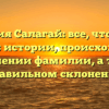 Фамилия Салагай: все, что нужно знать об истории, происхождении и значении фамилии, а также правильном склонении