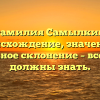 Фамилия Самылкин: происхождение, значение и правильное склонение – все, что вы должны знать.