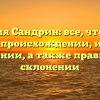 Фамилия Сандрин: все, что нужно знать о происхождении, истории и значении, а также правильном склонении