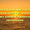 Фамилия Санжара: исследуем происхождение и значение, а также узнаем правильное склонение