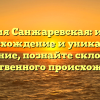 Фамилия Санжаревская: история, происхождение и уникальное значение, познайте склонение искусственного происхождения!