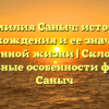 Фамилия Саныч: история происхождения и ее значение в современной жизни | Склонение и уникальные особенности фамилии Саныч