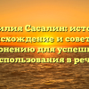 Фамилия Сасалин: история, происхождение и советы по склонению для успешного использования в речи