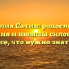 Фамилия Сатин: родословная, значения и нюансы склонения – все, что нужно знать