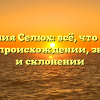 Фамилия Селюх: всё, что нужно знать о происхождении, значении и склонении