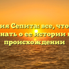 Фамилия Сепита: все, что нужно знать о ее истории и происхождении