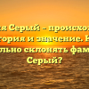 Фамилия Серый – происхождение, история и значение. Как правильно склонять фамилию Серый?