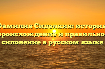 Фамилия Сиделкин: история, происхождение и правильное склонение в русском языке