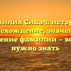 Фамилия Сикач: история, происхождение, значение и склонение фамилии — все, что нужно знать