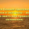 Фамилия Синаев: происхождение, история и значение — все, что нужно знать для правильного склонения.