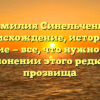 Фамилия Синельченко: происхождение, история и значение — все, что нужно знать о склонении этого редкого прозвища