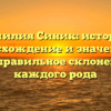 Фамилия Синик: история, происхождение и значения, а также правильное склонение для каждого рода