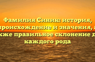 Фамилия Синик: история, происхождение и значения, а также правильное склонение для каждого рода