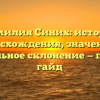 Фамилия Синих: история происхождения, значения и правильное склонение — полный гайд