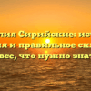 Фамилия Сирийские: история, значения и правильное склонение — все, что нужно знать