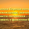 Фамилия Сирица: история происхождения, значения и особенности склонения — все, что нужно знать о фамилии Сирица