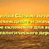 Фамилия Скинос: история, происхождение и значение, полное склонение для вашего генеалогического дерева.