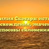 Фамилия Скобара: история происхождения, значения и способы склонения