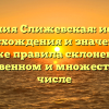 Фамилия Слижевская: история происхождения и значения, а также правила склонения в единственном и множественном числе