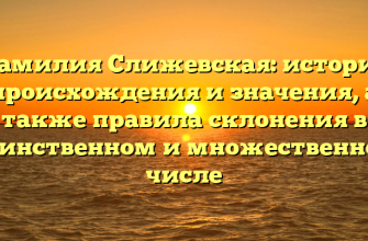 Фамилия Слижевская: история происхождения и значения, а также правила склонения в единственном и множественном числе