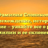 Фамилия Слоников: происхождение, история и значение — узнайте все о редкой фамилии и ее склонении