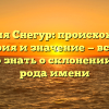 Фамилия Снегур: происхождение, история и значение — все, что нужно знать о склонении этого рода имени