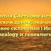 Фамилия Снеткова: история происхождения, значения и правильное склонение | Исследуем genealogy и генеалогию.