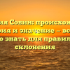 Фамилия Собин: происхождение, история и значение — все, что нужно знать для правильного склонения