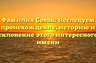 Фамилия Совак: исследуем происхождение, историю и склонение этого интересного имени