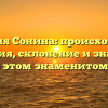 Фамилия Сонина: происхождение и история, склонение и значение – все об этом знаменитом роде.