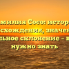 Фамилия Сосо: история происхождения, значение и правильное склонение – все, что нужно знать