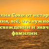 Фамилия Сохо: от истории до склонения, всё, что нужно знать о происхождении и значении фамилии