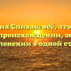 Фамилия Спивак: всё, что нужно знать о происхождении, значении и склонении в одной статье