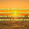 Фамилия Страшко: история возникновения, значение и правила склонения — всё о фамилии в одной статье