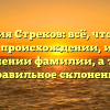 Фамилия Стреков: всё, что нужно знать о происхождении, истории и значении фамилии, а также правильное склонение